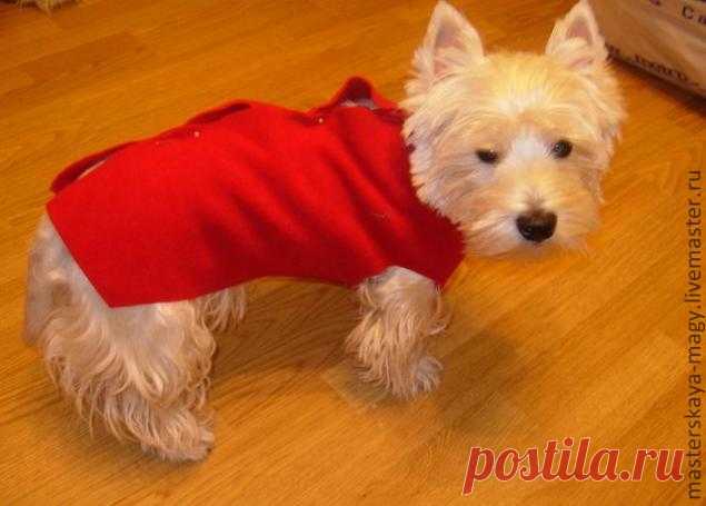 Шьем попонку для собаки | Журнал Ярмарки Мастеров