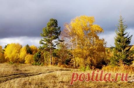 podigalina — альбом «Все популярные» на Яндекс.Фотках