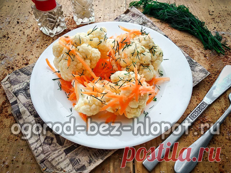 салат