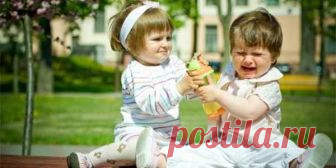 Почему нельзя заставлять ребенка делиться? - mama.ru Mama.ru — сайт про родительство: полезные советы, увлекательные истории и хорошие картинки.