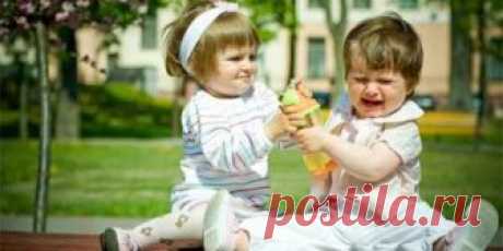 Почему нельзя заставлять ребенка делиться? - mama.ru Mama.ru — сайт про родительство: полезные советы, увлекательные истории и хорошие картинки.