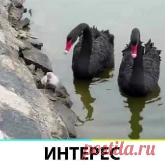 (25) Facebook