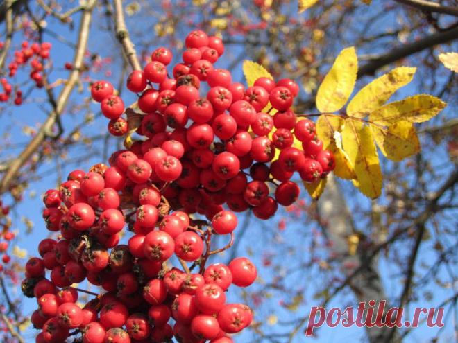ФОТОМАСТЕРСКАЯ ПРИРОДЫ
Ольга Тюпышева  Антипина