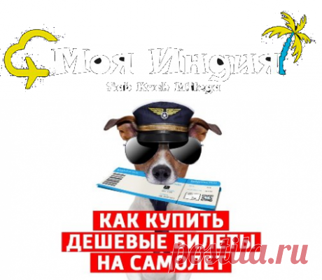 #Как_купить билет на самолет – полезные советы
Как купить билет на самолет – ведь для некоторых это становится трудной задачей. Это только с первого взгляда все просто. Но на самом деле, к такому процессу следует отнестись с полной ответственностью, чтобы не допустить ошибок.