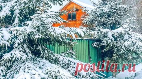 Кого будут штрафовать за неубранный снег или мусор в СНТ в 2022 году | Юридические тонкости | Пульс Mail.ru