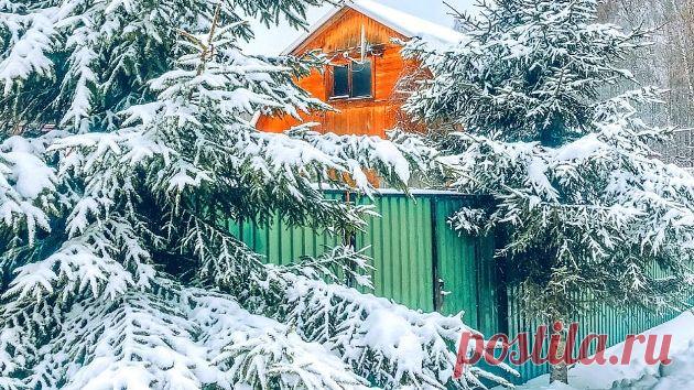 Кого будут штрафовать за неубранный снег или мусор в СНТ в 2022 году | Юридические тонкости | Пульс Mail.ru