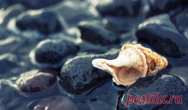 Притча о тайне рукописи – Фитнес для мозга