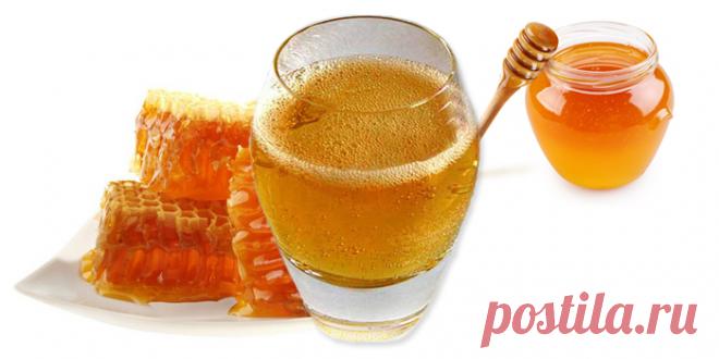 Медовуха - 17 Июня 2017 - Компания Тенториум. Продукты пчеловодства - Тенториум Самара. Продукты пчеловодства.