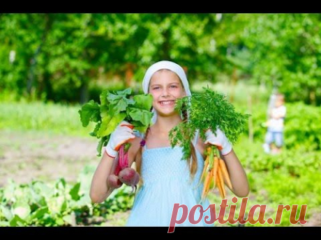 Как я веду учет посадок на даче