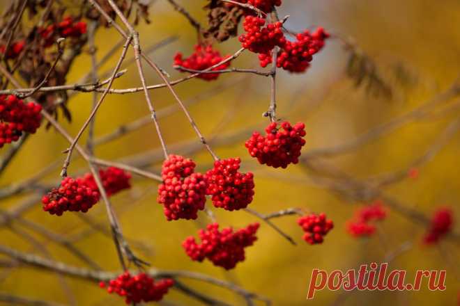 ФОТОМАСТЕРСКАЯ ПРИРОДЫ
АЛЕКСАНДР СТОЛЯРОВ