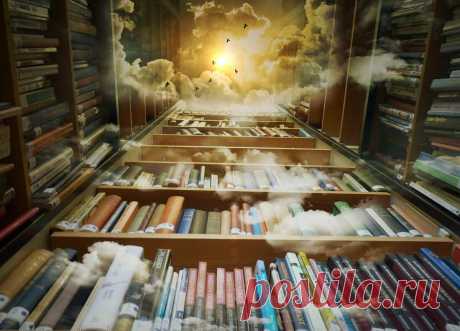 Челлендж "Отличная книга". Расскажите, что любите читать | ПроЧтение | Яндекс Дзен