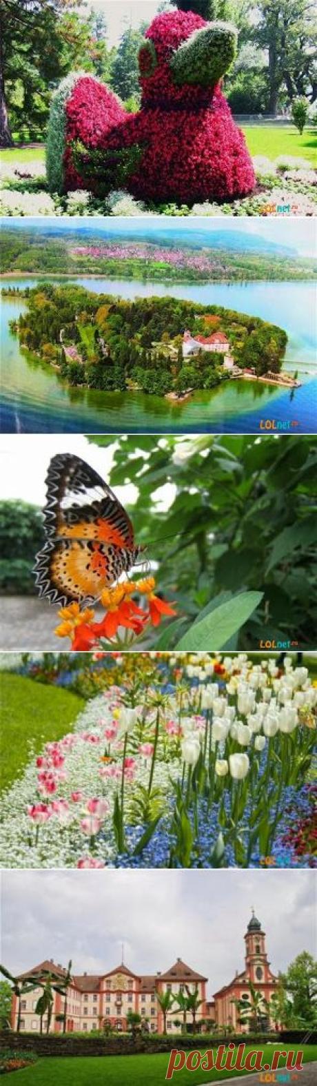 КРАСИВЫЕ ЦВЕТНИКИ МАЙНАУ.