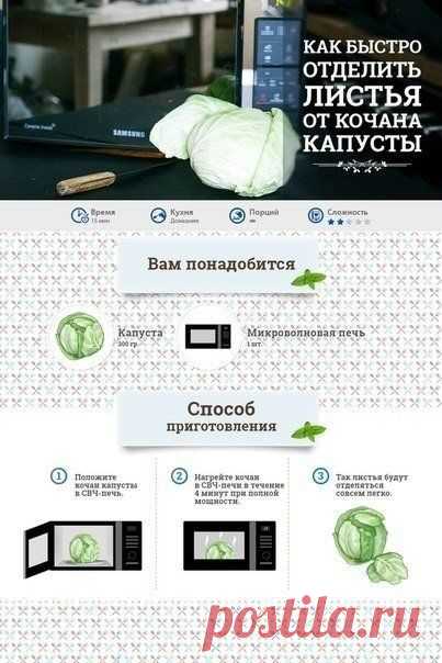 как быстро отделить листья от кочана капусты