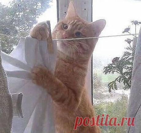 Лучшие статусы, цитаты и афоризмы. Добавлена фотография в альбом Позитив....)))