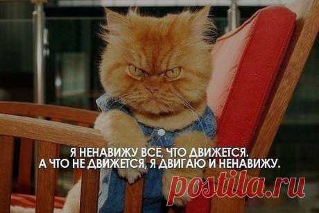 Дмитрий Карпачёв