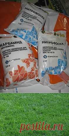 Удобрение для газона.. Сохраните любой пост с сайта 7dach.ru в Постиле и выиграйте призы от интернет-магазина Клуб Красоты. Чем больше постов - тем выше шансы. Розыгрыш состоится в понедельник, 30 января. В акции участвуют все посты, которые содержат этот текст или фото призов!