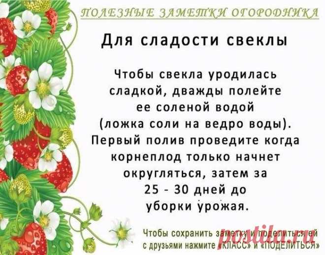 Спасибо за советы нашей подписчице Ирине Мареевой