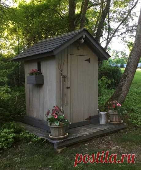 Деревья, которые следует посадить возле дачного "нужника", чтобы никогда его не выкачивать | Все о цветоводстве и огородничестве Пульс Mail.ru