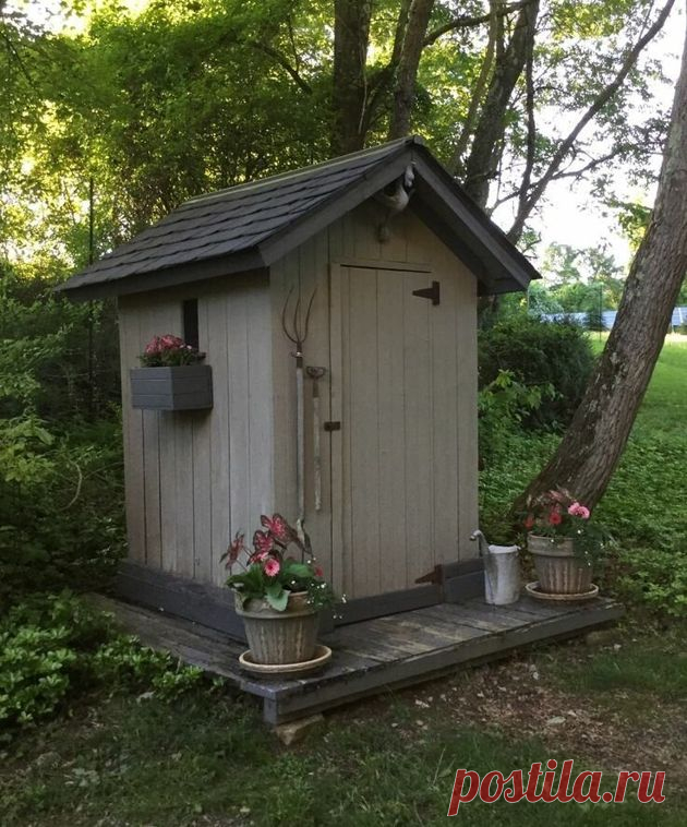 Деревья, которые следует посадить возле дачного 