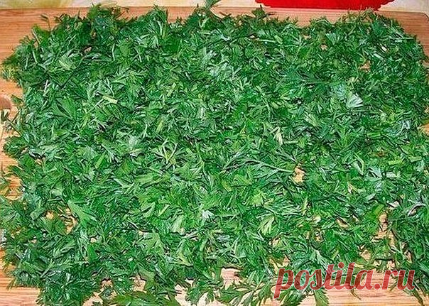 Ботва моркови

Морковная ботва не менее полезна, чем корнеплод, - и для зрения, и для печени и т.д.

А всего-то и надо, что помыть ботву, порезать, как петрушку, высушить и добавлять по возможности во все первые блюда перед концом варки. На вкусе это никак не отразится, а польза несомненная.

Можно заваривать, как чай и пить - но это на любителя. А вот ботву (сочную, зелёную) от свёклы можно мелко порезать и заморозить. Зимой добавьте горсточку в щи, борщ или сварите лёгки...