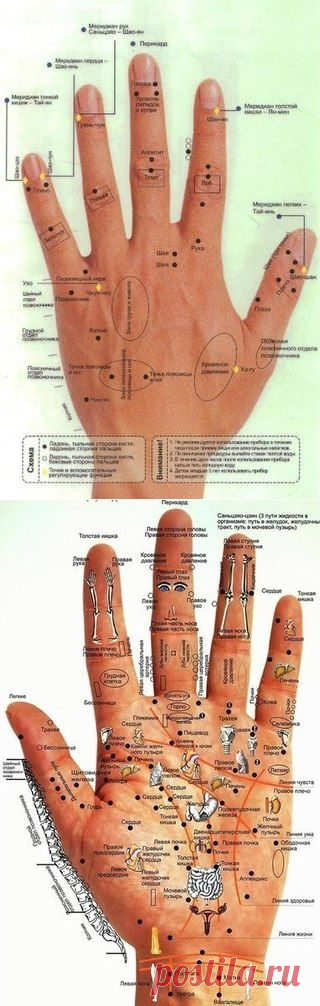 Болезни человека на его руках /