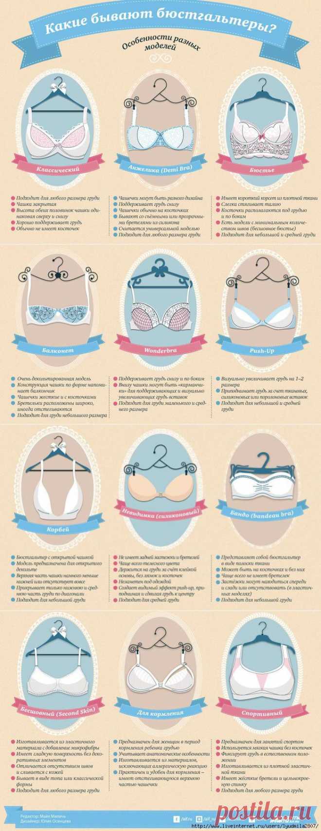 Какие бывают бюстгальтеры? Особенности разных моделей. Инфографика