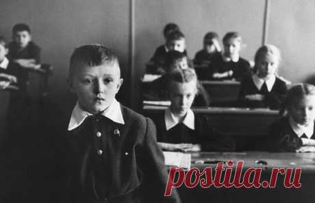 «Невежа» и «невежда» — это разные слова | Филологический маньяк | Яндекс Дзен
