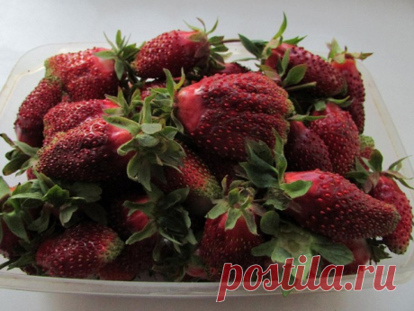 Предлагаю саженцы Купчихи.Думаю.многим полезна будет эта информация,что без хорошего полива не получить хороший урожай Купчихи.