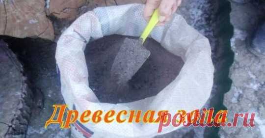 (11) Дача, сад и огород цветы-растенияводство.цветы, идеи, советы, дачники