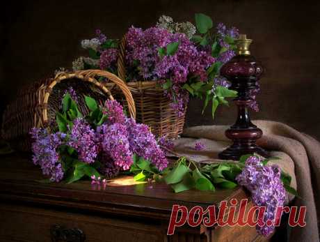 «Натюрмортное»