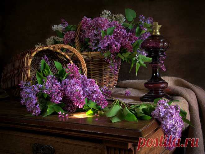 «Натюрмортное»