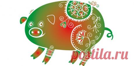 Женщина Свинья: характеристика женщин восточного знака Свинья