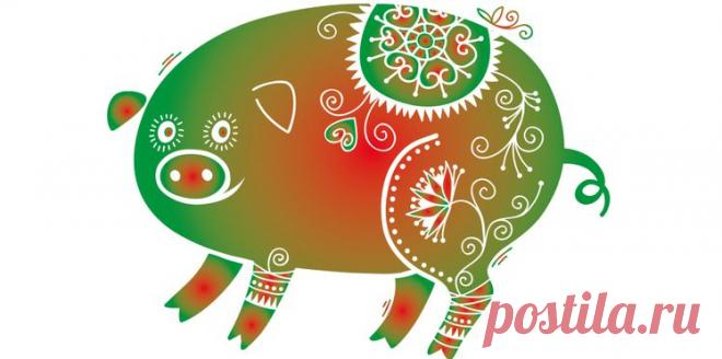 Женщина Свинья: характеристика женщин восточного знака Свинья