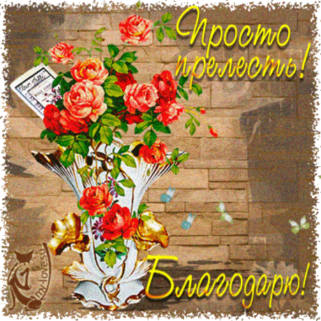 Картинки, открытки, анимация, со словами - Спасибо, Благодарю, со словами восхищения,  - Картинки Открытки My-love