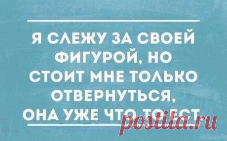 Fitness Life