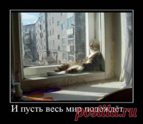 Диалоги