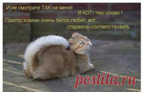 (52) Одноклассники
