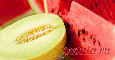 ВЫРАЩИВАНИЕ АРБУЗА И ДЫНИ В ПРИРОДНОМ ЗЕМЛЕДЕЛИИ! Часто люди покупают арбузы на рынке... И от этого становится грустно...

А почему бы не начать выращивать их на садовом участке? Чем эта ягода отличается от малины или смородины?

Сложно? Да не сложнее, чем вырастить помидоры...