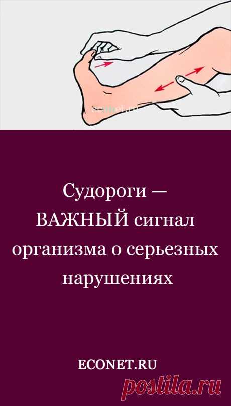 Судороги — ВАЖНЫЙ сигнал организма о серьезных нарушениях

Судороги – конвульсии (от англ. convulsions). Тонические судороги (в отличие от судорог центрального и периферического происхождения при поражениях центральной нервной системы) – это внезапные, непроизвольные, не поддающиеся управляемому расслаблению кратковременные сокращения мышц или группы мышц, чаще ножных, воспринимаемых человеком как сильна