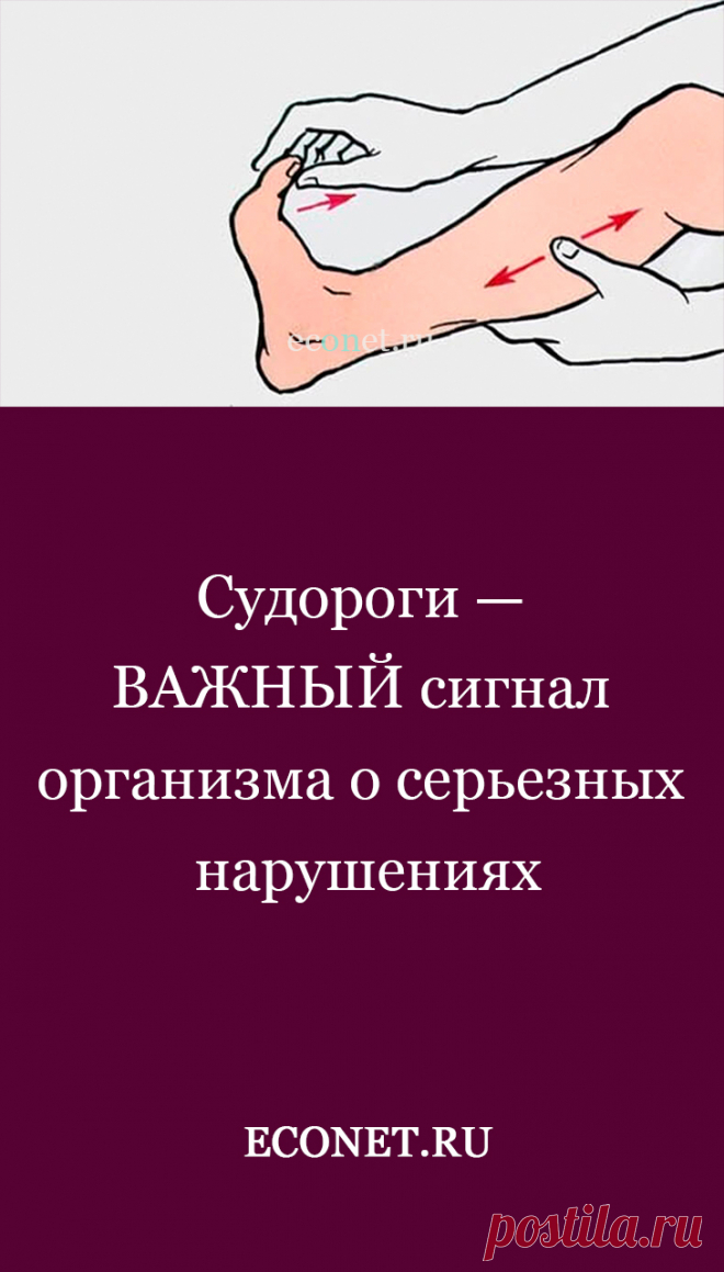 Судороги — ВАЖНЫЙ сигнал организма о серьезных нарушениях

Судороги – конвульсии (от англ. convulsions). Тонические судороги (в отличие от судорог центрального и периферического происхождения при поражениях центральной нервной системы) – это внезапные, непроизвольные, не поддающиеся управляемому расслаблению кратковременные сокращения мышц или группы мышц, чаще ножных, воспринимаемых человеком как сильна