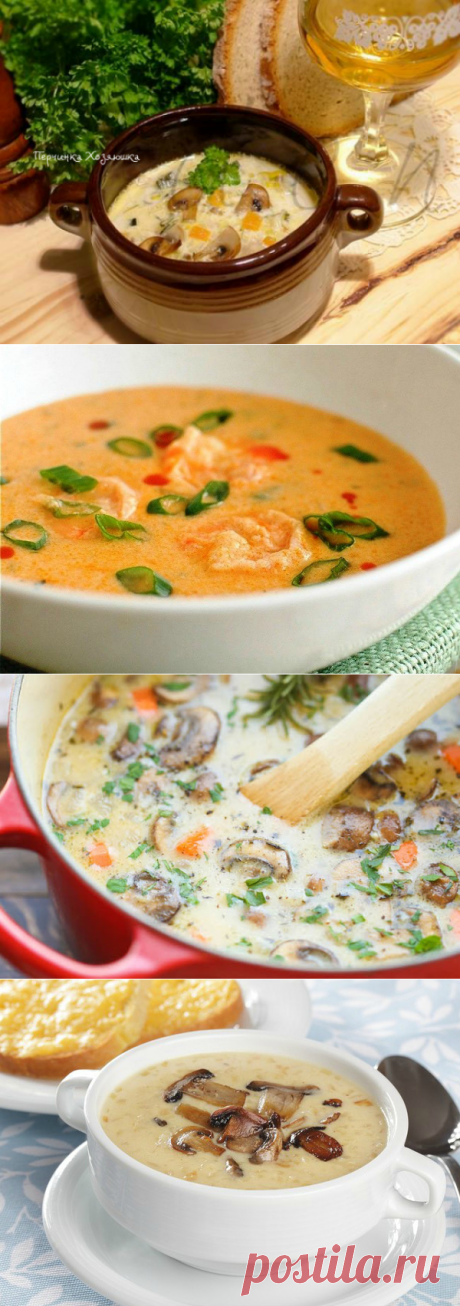 Сырный суп с курицей и грибами - Перчинка хозяюшка