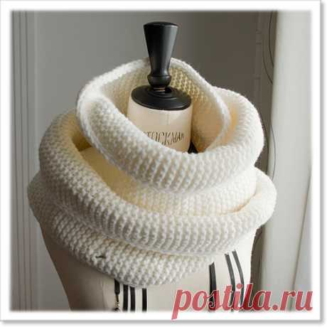 C A M E L E O N | LuckySlug's Scrapbook