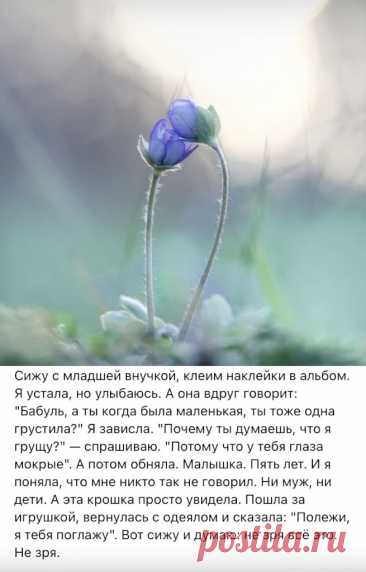 ebb243e5.jpg (655×1024)