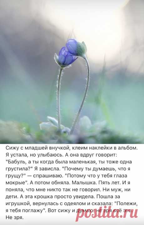 ebb243e5.jpg (655×1024)