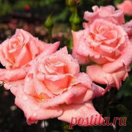 Чем шедевр отличается от ширпотреба