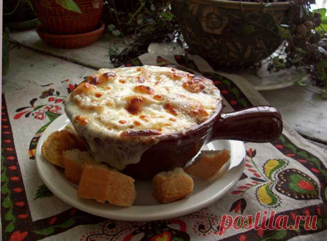 Сага о луковом супе