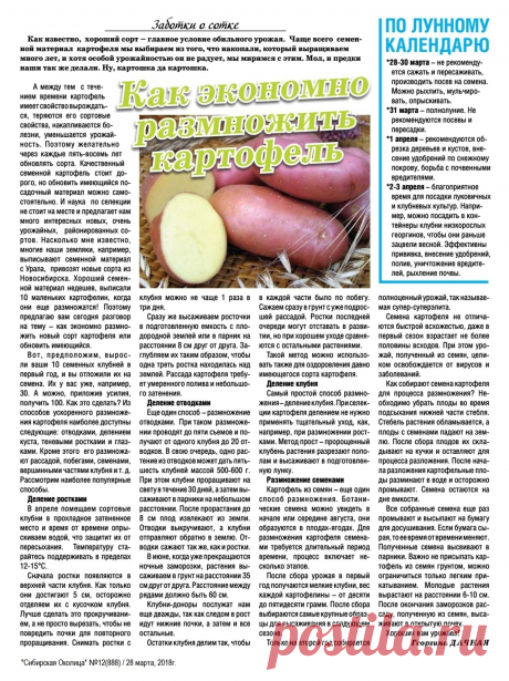 Как экономно размножить картофель