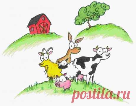 Виды навоза - свиной, конский и коровий навоз