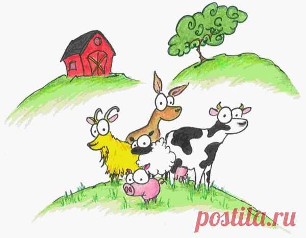 Виды навоза - свиной, конский и коровий навоз