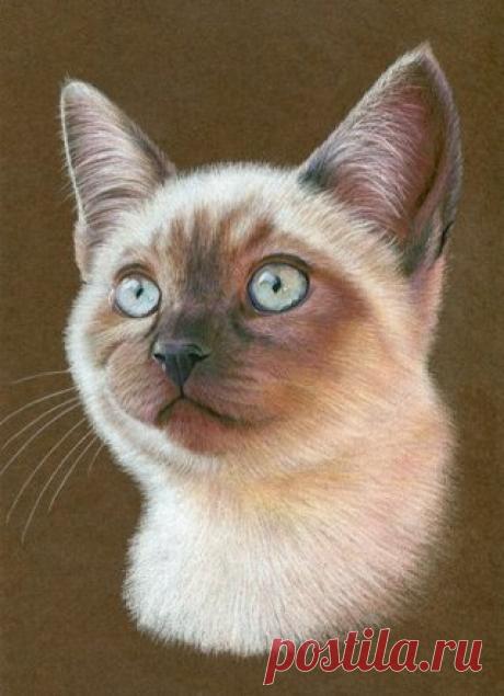 Рисуем котёнка

#секретымастеров #роспись #рисунок #картина #живопись